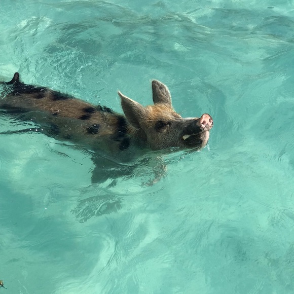 Meet your Posher, Wendy - Picture 3 of 13